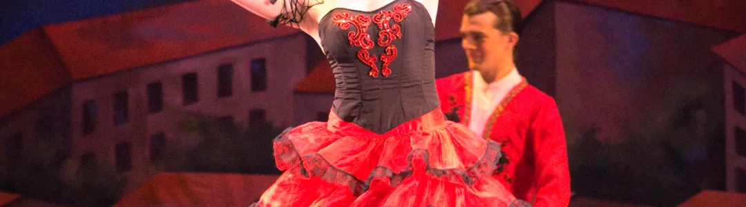 Don Quixote - Ballet